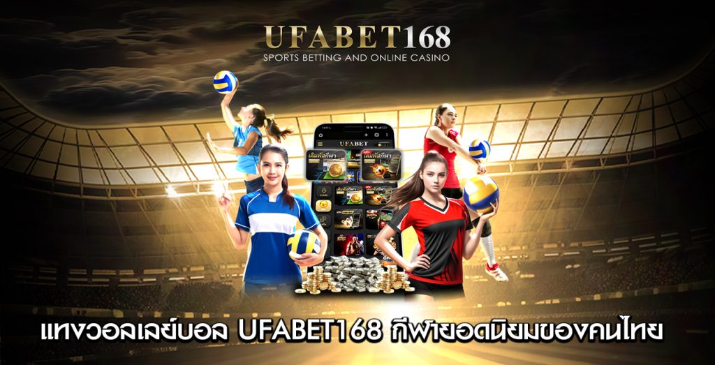 แทงวอลเลย์บอล-UFABET168-กีฬายอดนิยมของคนไทย